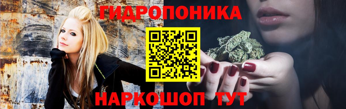 Владивосток  Бошки Шишки AK-47  Вход с VPN  Марихуана планчик  Бошки Шишки семена 